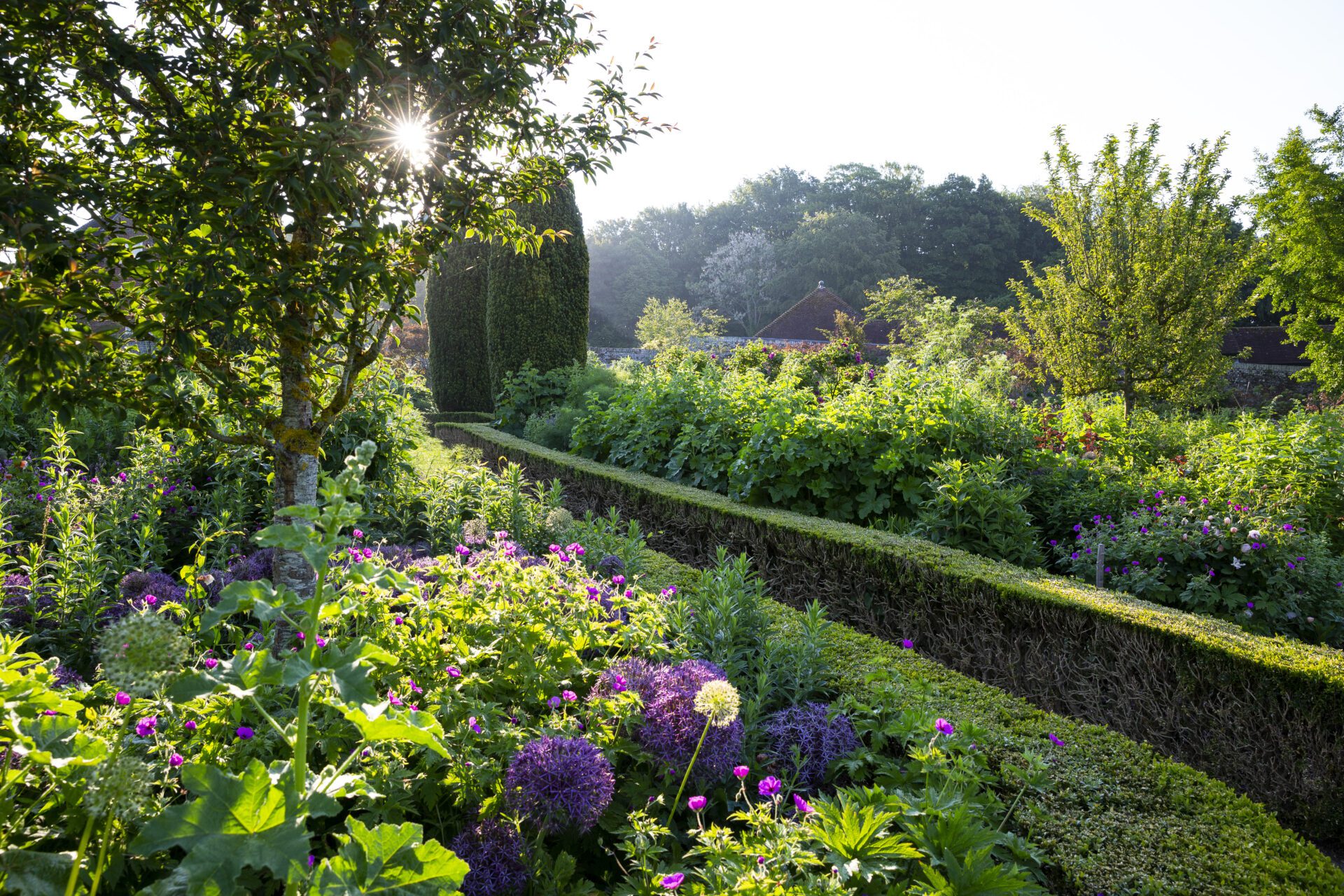 Culpeper Garden