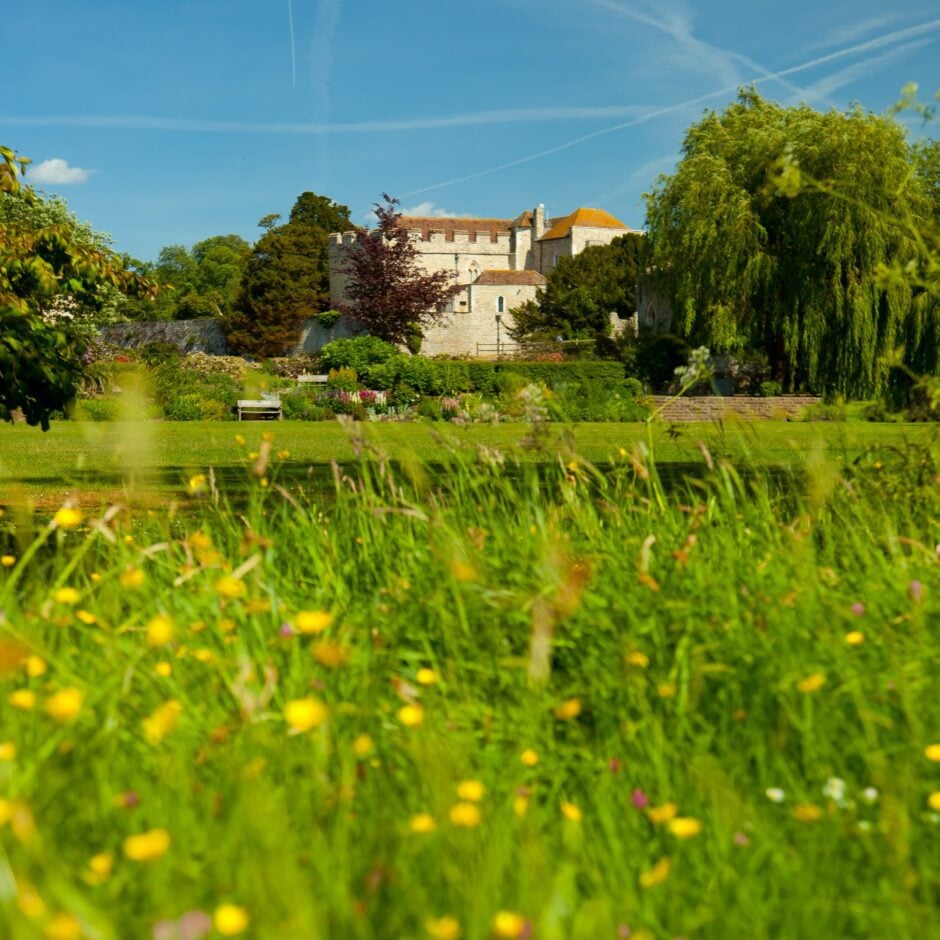 Leeds Castle Wildflower Meadow