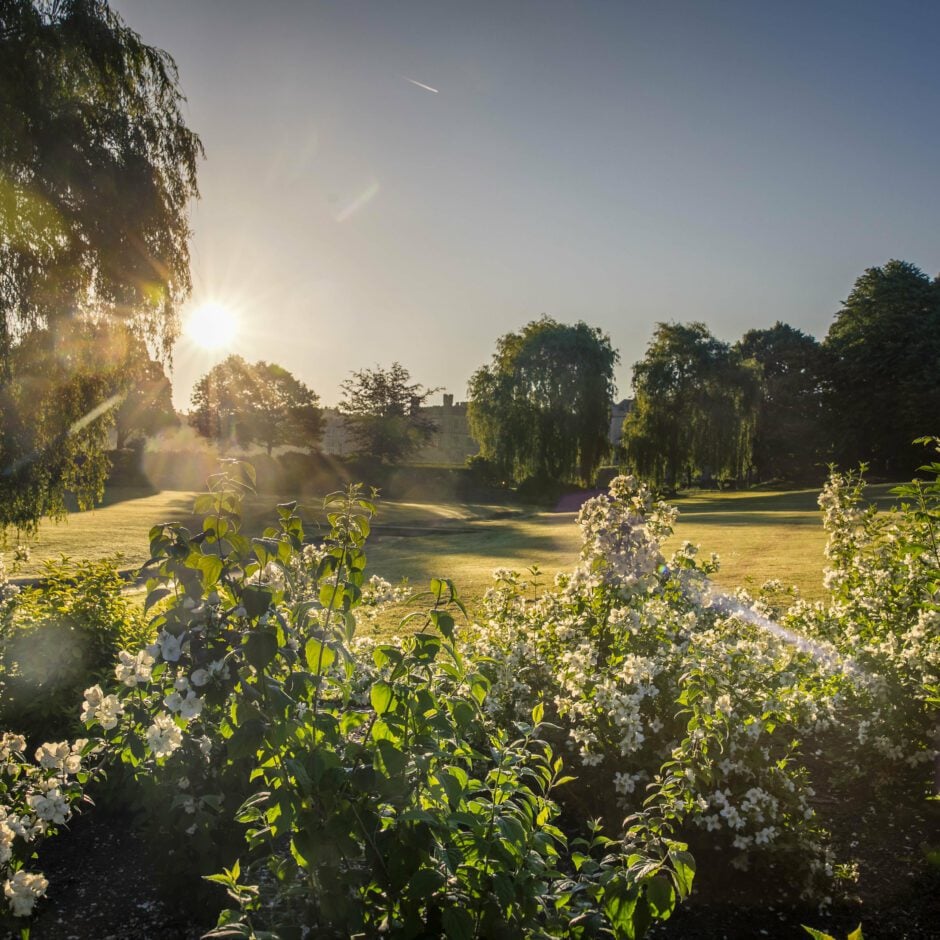 Leeds Castle Grounds & Gardens