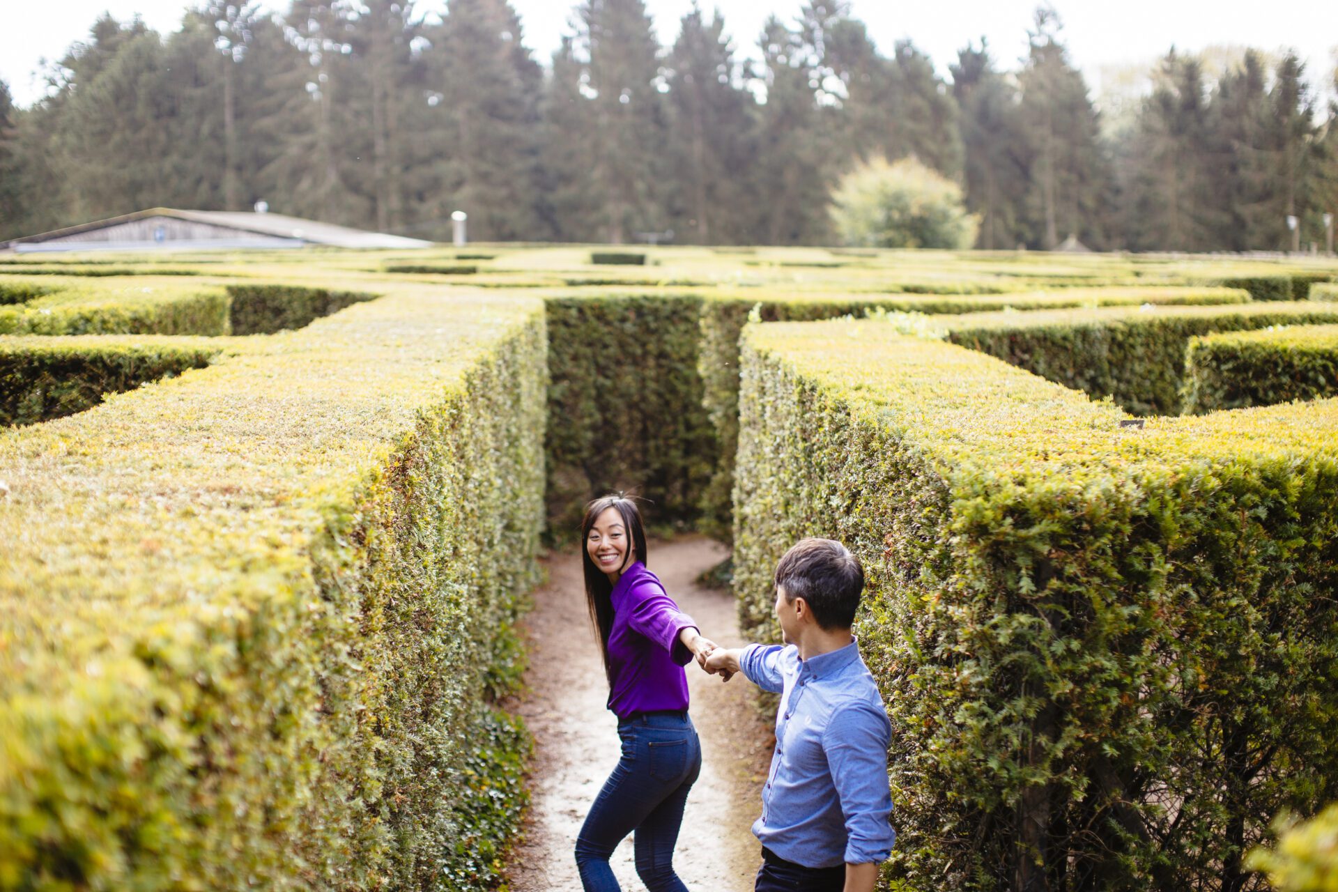 Leeds Castle Maze