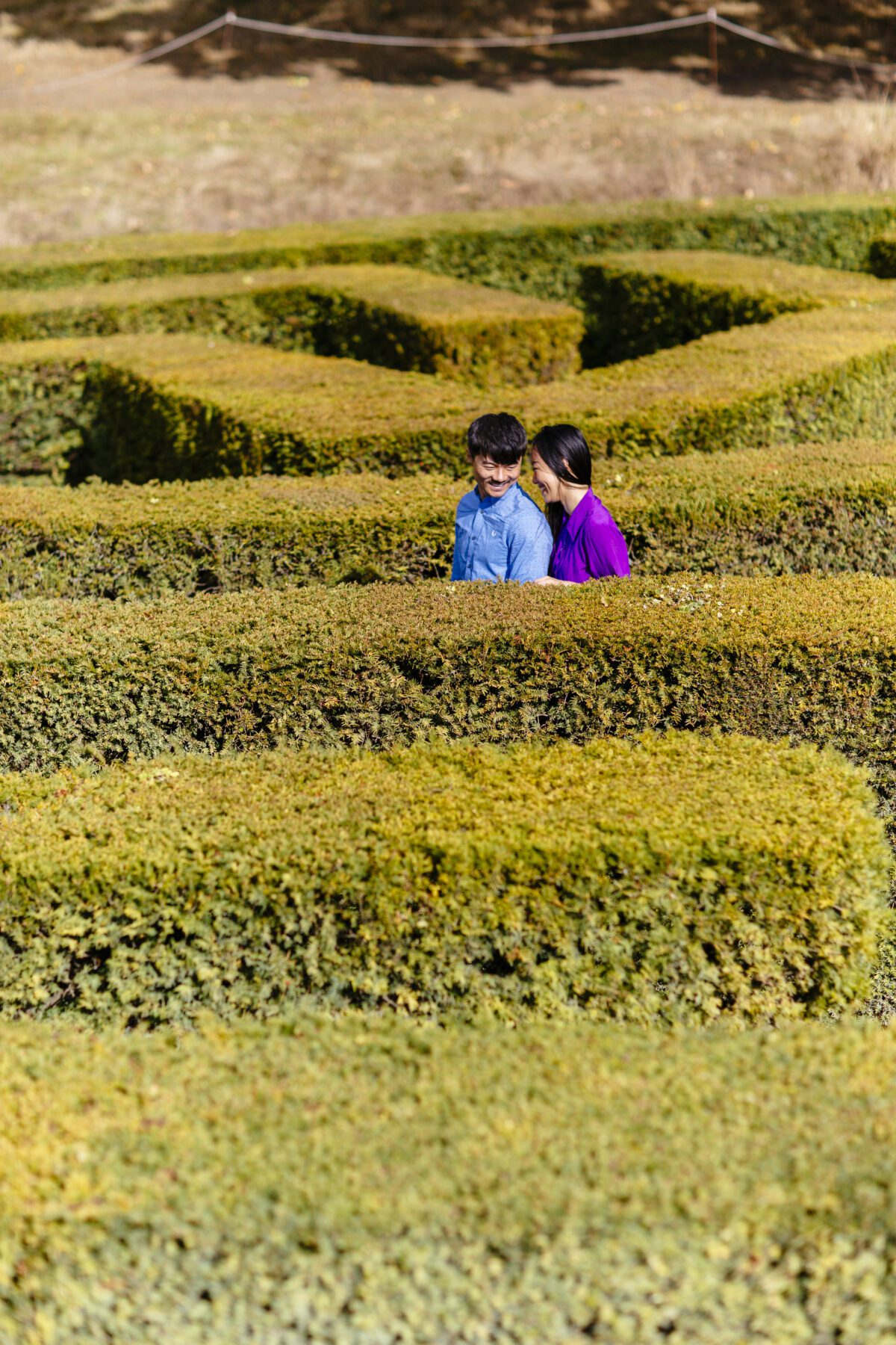 Leeds Castle Maze